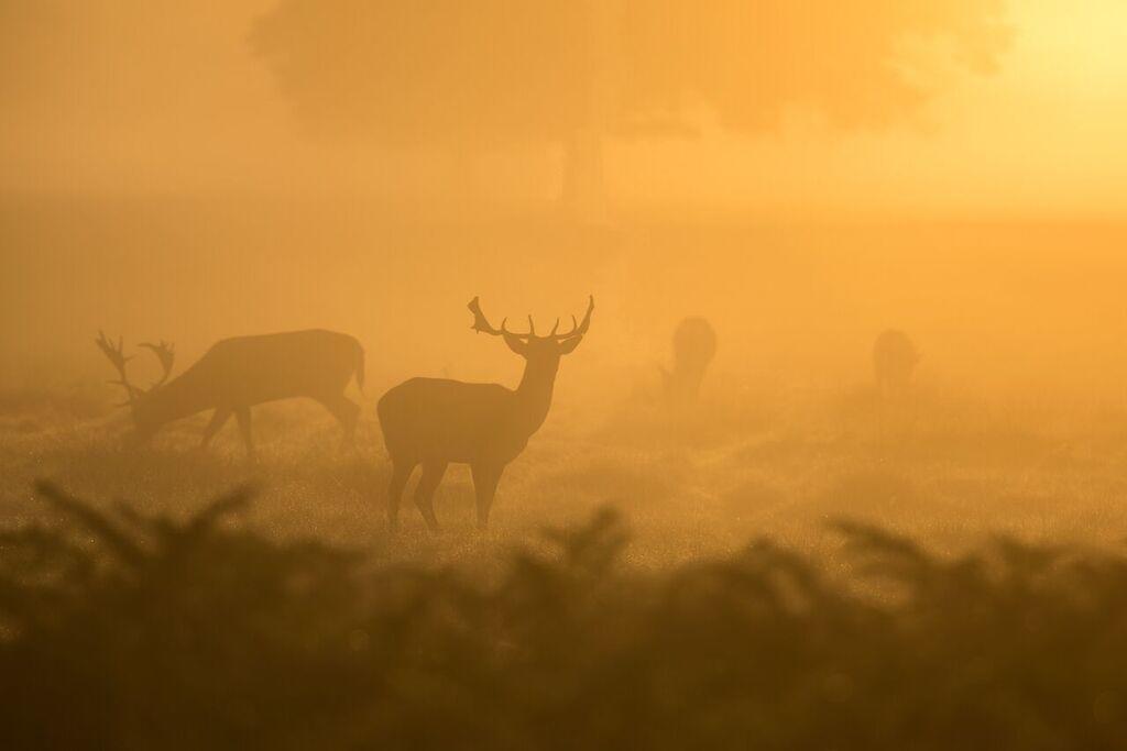 Bourazani Wild Life Resort โคนิทซา ภายนอก รูปภาพ
